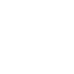 Document icon.