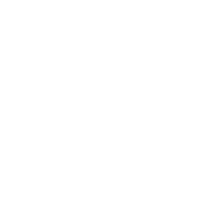 Phone icon.